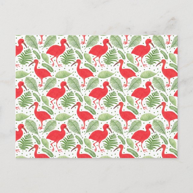 Postal El Ibis escarlata (Anverso)