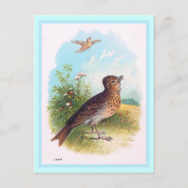Postal El Ilustracion vintage "Lark"