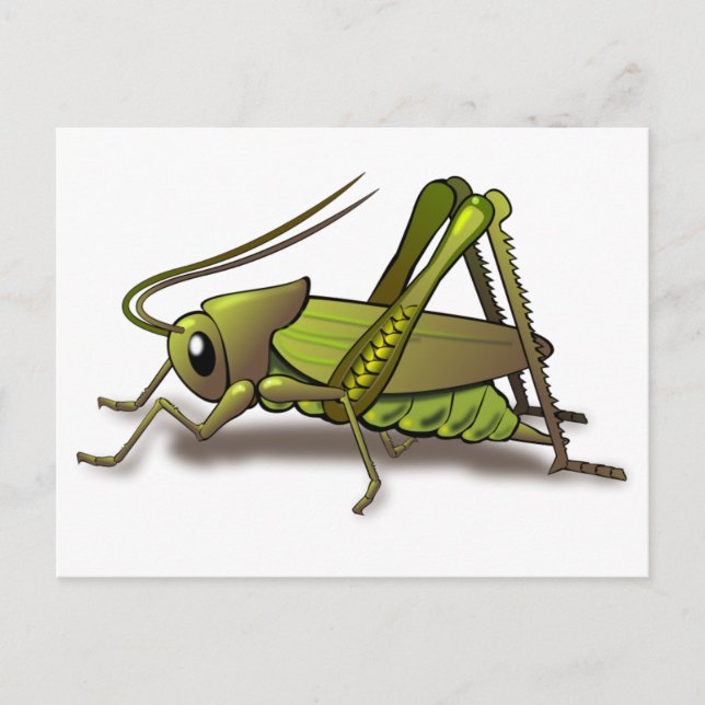 Postal El insecto del críquet verde (Anverso)