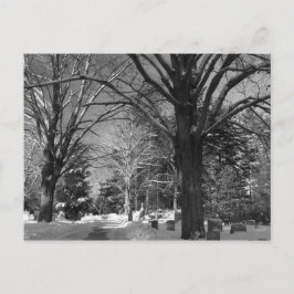 Postal El invierno de Nueva Inglaterra