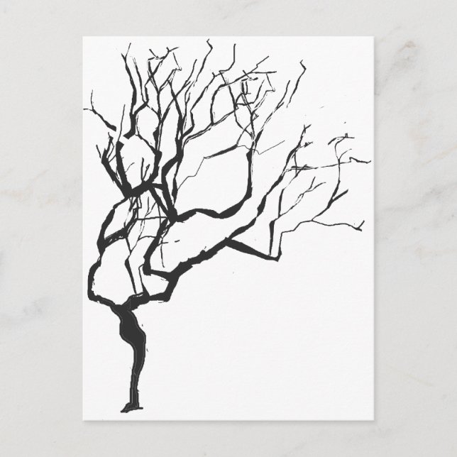 Postal El invierno está por llegar dibujando un árbol de  (Anverso)