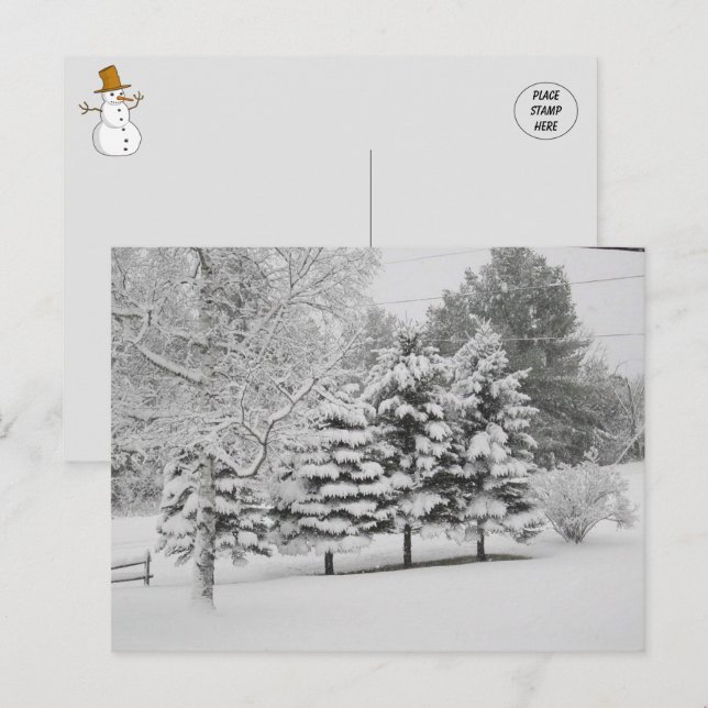 Postal El invierno nevado de Vermont en B&W (Anverso / Reverso)
