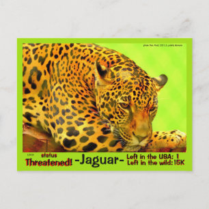 Postal El jaguar es un animal en peligro de extinción -