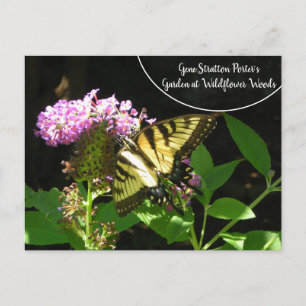 Postal El jardín de Gene Stratton Porter en los bosques d