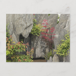 Postal El jardín familiar de Bao, Huangshan, China.