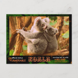 Postal El KOALA (Oso) está en peligro de extinción, lea e