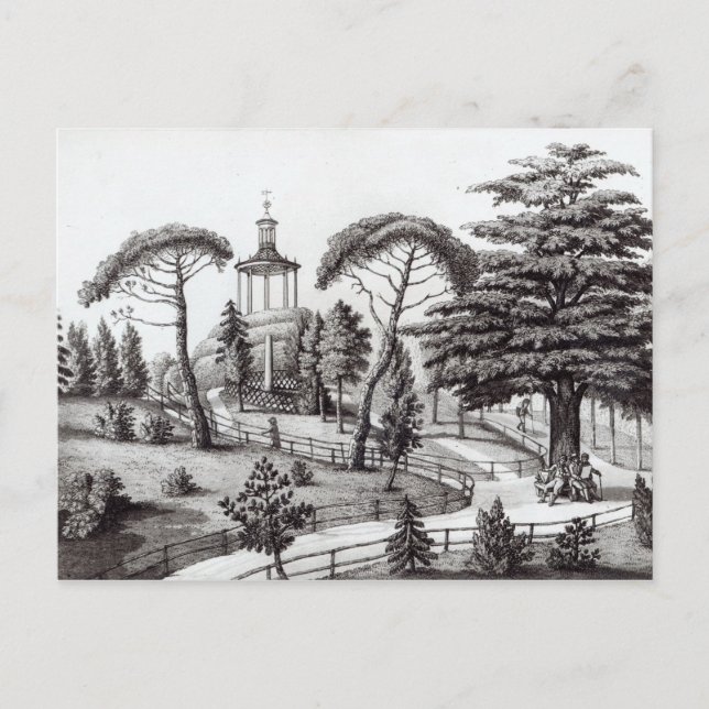 Postal El laberinto del Jardín de las Plantas (Anverso)