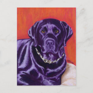 Postal El labrador negro piensa en la pintura