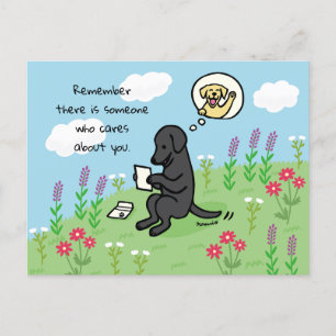 Postal El labrador negro y la carta que alguien le import