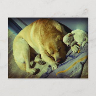 Postal El labrador y el cachorro