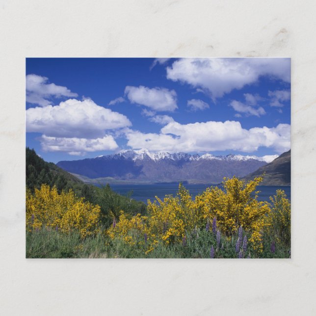 Postal el lago Wakatipu y los Remarkables, Queenstown, (Anverso)