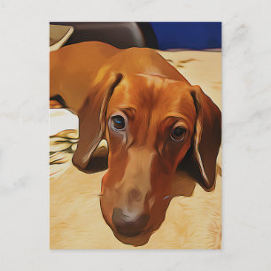 Postal El Largo Dachshund Está En La Cama