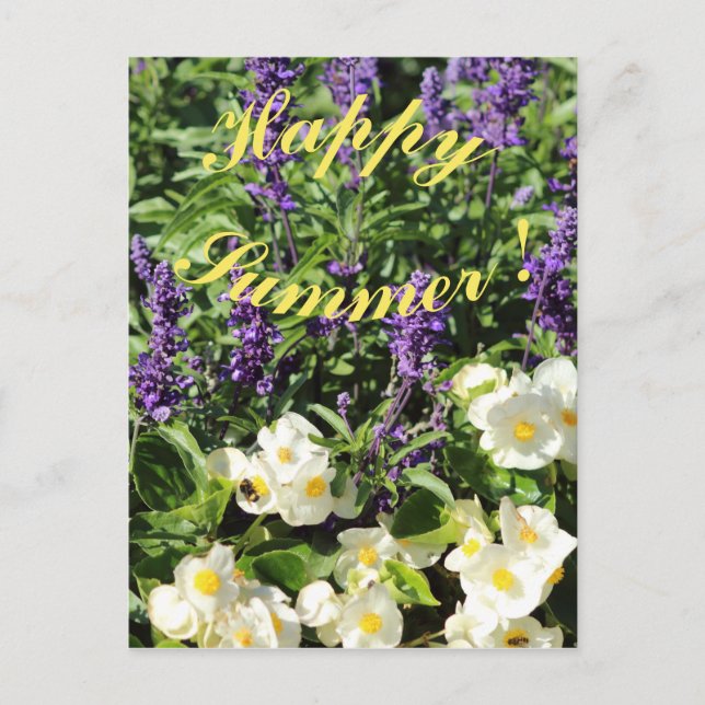 Postal El lavander y el begonio florecientes (Anverso)