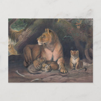 Postal El león de Joseph Wolf