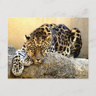 Postal El leopardo de Amur