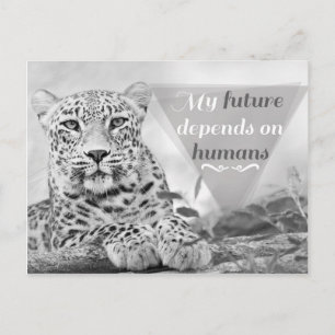 Postal El leopardo en peligro de extinción protege la vid