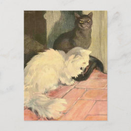 Postal El libro del gato: Bola de nieve y Ebony