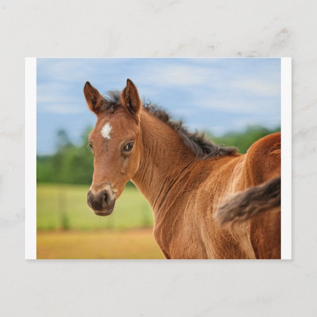 Postal El Lúdico (Anverso)