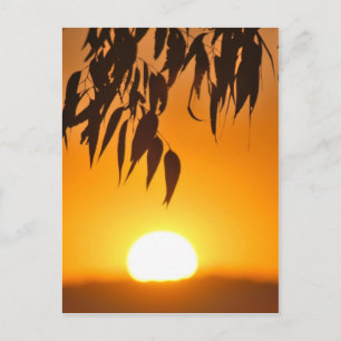 Postal El marco de la naturaleza