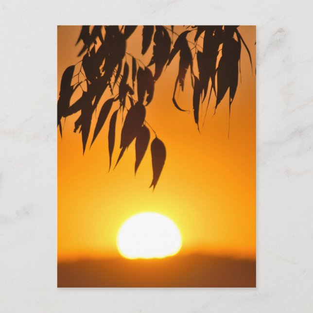 Postal El marco de la naturaleza (Anverso)