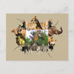 Postal El marco de vida silvestre africano Giraffe Aloe