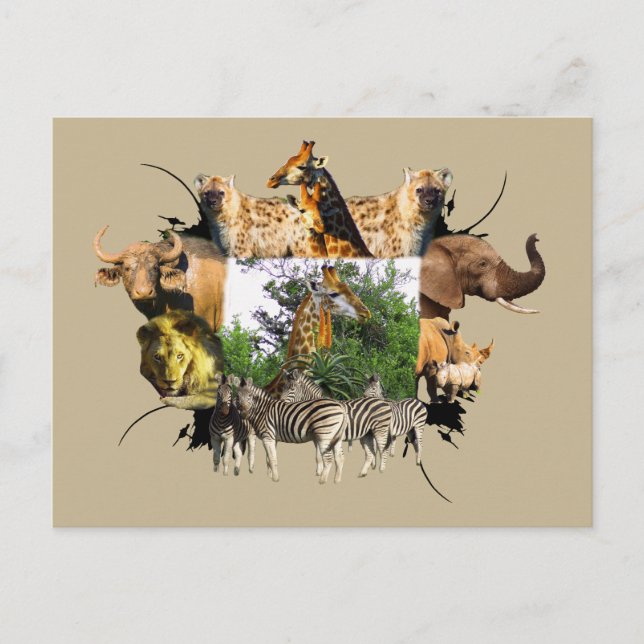 Postal El marco de vida silvestre africano Giraffe Aloe (Anverso)