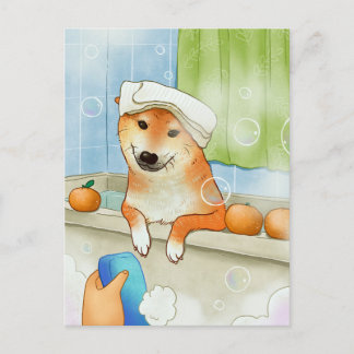 Postal El Mascota chiba inu es gracioso bañar a un perro