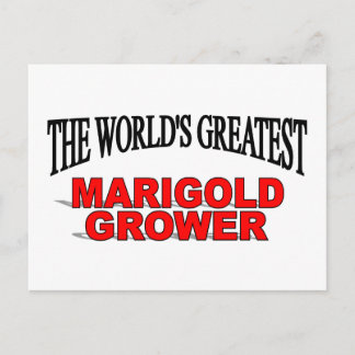Postal El mayor cultivador de oro marino del mundo