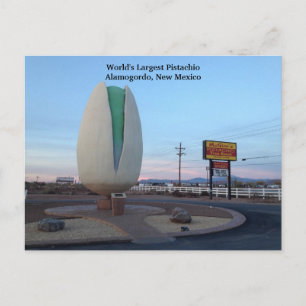 Postal El mayor pistachio del mundo