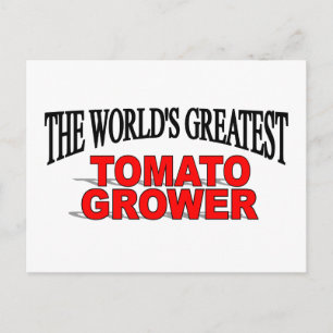 Postal El mayor tomate del mundo