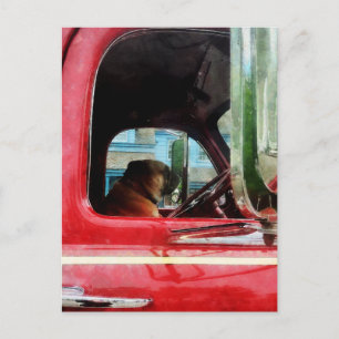 Postal El mejor amigo de Fireman