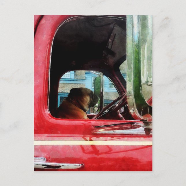 Postal El mejor amigo de Fireman (Anverso)