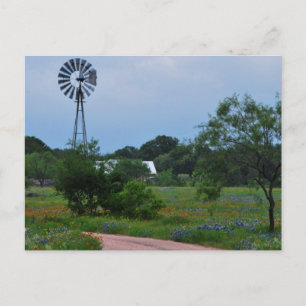 Postal El molino de viento en los Wildflowers