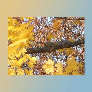 Postal El momento zen de la ardilla