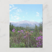 El Monte Katahdin y las flores silvestres