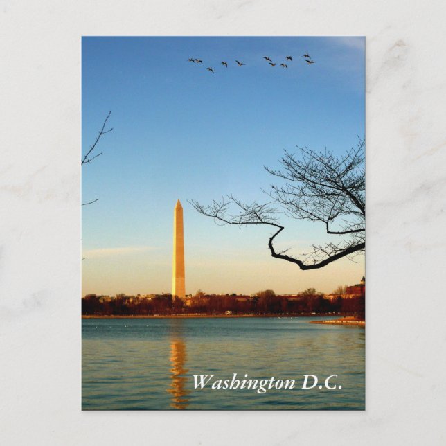 Postal El Monumento a Washington (Anverso)
