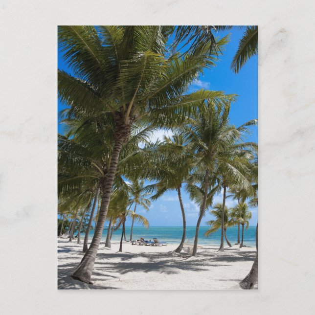 Postal El Moorings Resort, Marathon, Key West, (Anverso)