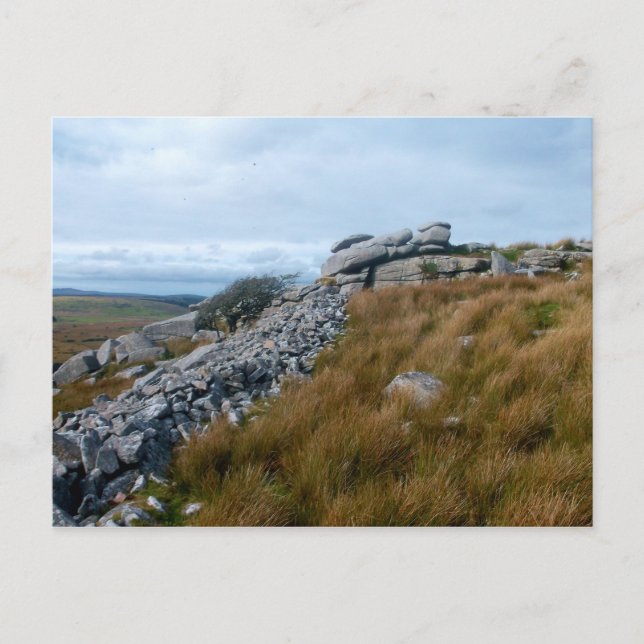 Postal El moreno salvaje Bodmin Moor Cornwall England (Anverso)