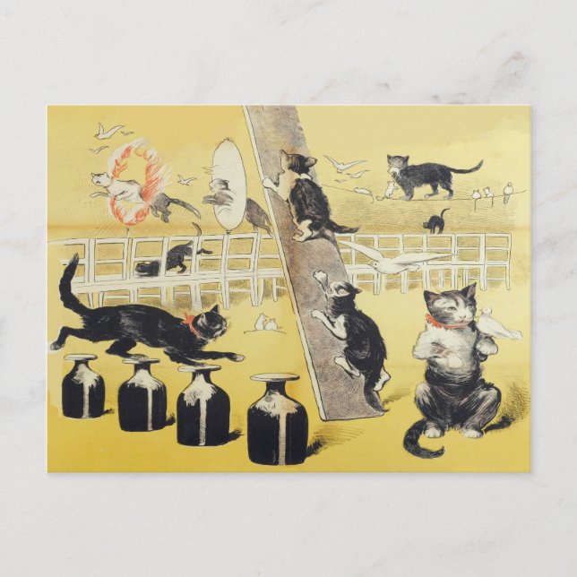 Postal El Mundo Del Gato (Anverso)