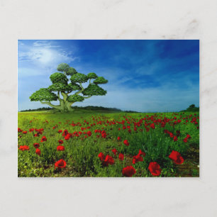 Postal El mundo maravilloso