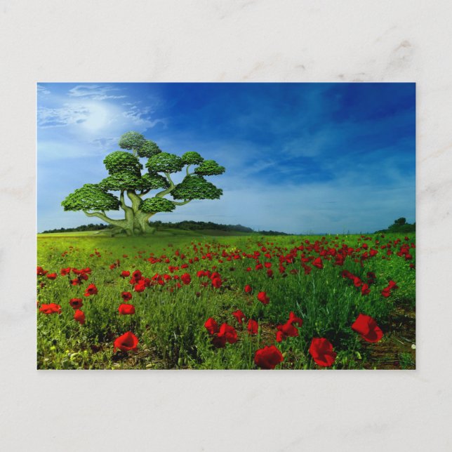 Postal El mundo maravilloso (Anverso)