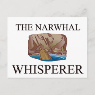 Postal El narwhal Whisperer
