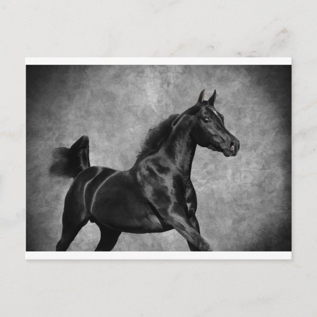 Postal El negro (Anverso)