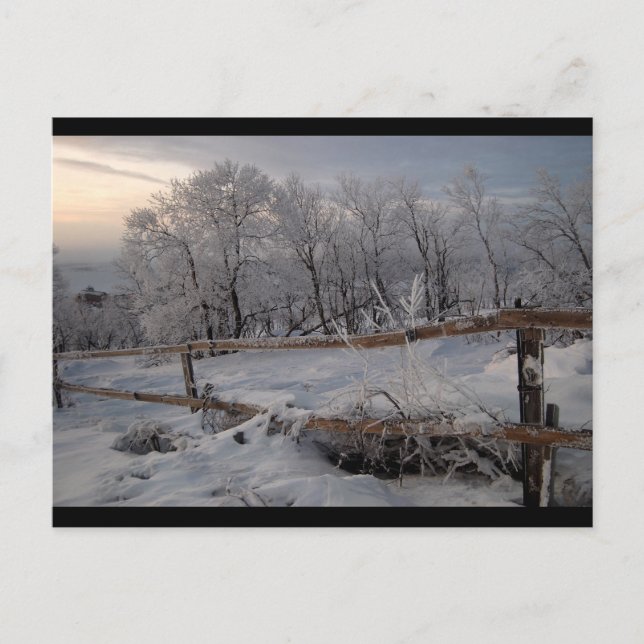 Postal El Norte Congelado (Anverso)