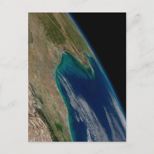 Postal El Norte Del Golfo De México. (Anverso)