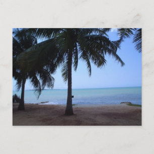 Postal El océano por la mañana