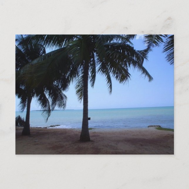 Postal El océano por la mañana (Anverso)