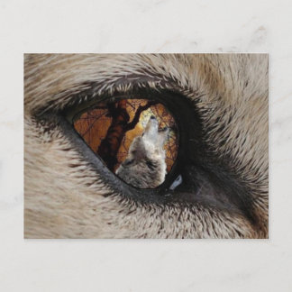 Postal El ojo del lobo