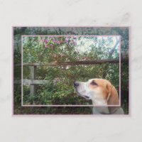 El olor de la primavera