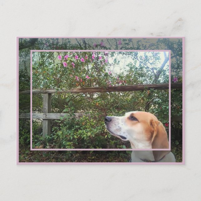 Postal El olor de la primavera (Anverso)